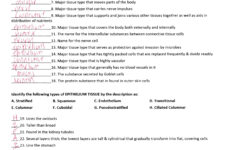 Anatomy And Physiology Coloring Workbook Answer Key Best Of Coloring