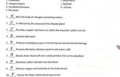 Anatomy And Physiology Coloring Workbook Answer Key Chapter 3 Cells And