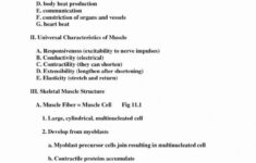 Anatomy And Physiology Coloring Workbook Answers Chapter 11 Page 178