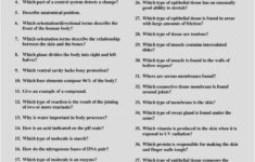 Anatomy And Physiology Coloring Workbook Answers Chapter 11 Page 178