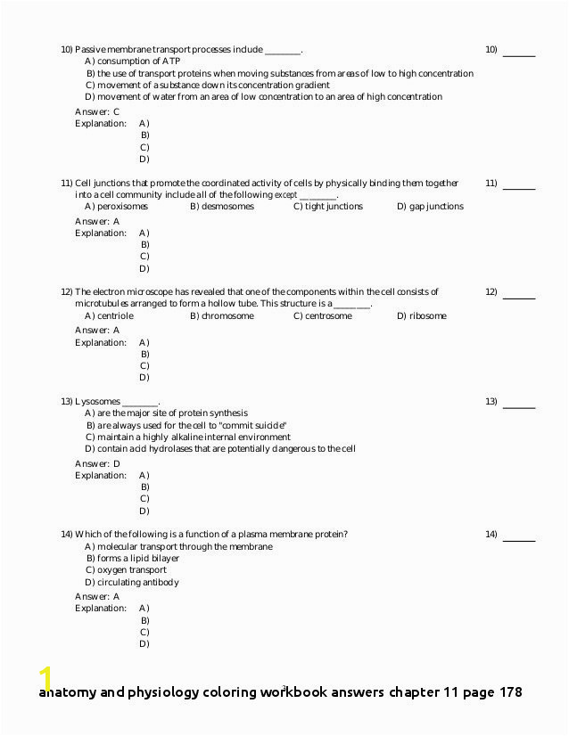 Anatomy And Physiology Chapter 11 Worksheet Answers Anatomy Worksheets