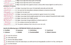 Anatomy And Physiology Coloring Workbook Answers Chapter 6 The Muscular