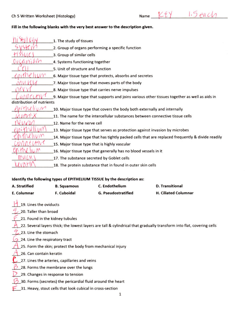 chapter 6 general anatomy and physiology workbook answers