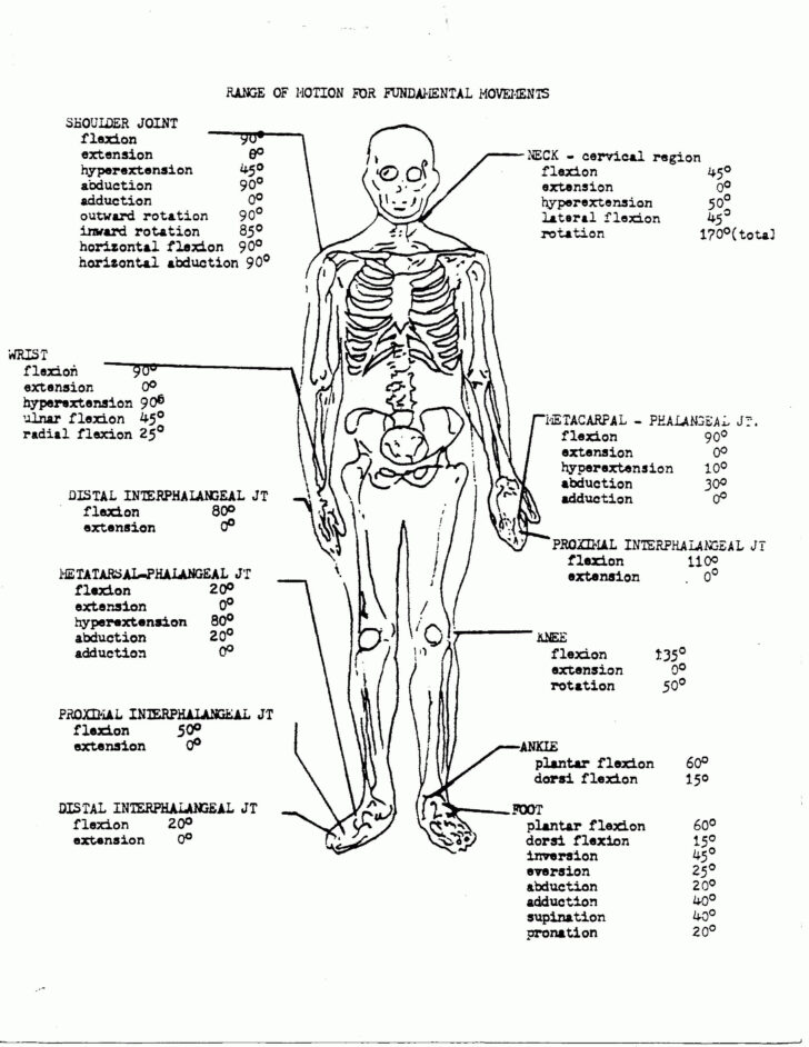 Anatomy And Physiology Workbook Printable