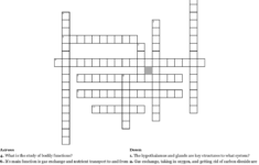 Anatomy And Physiology Crossword Puzzle WordMint