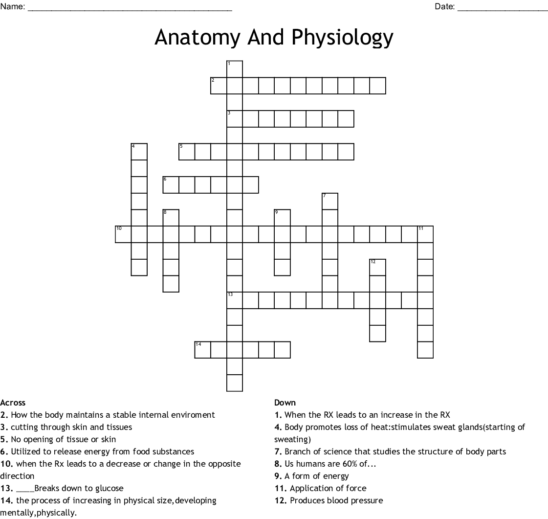 Anatomy And Physiology Crossword Printable Anatomy Worksheets