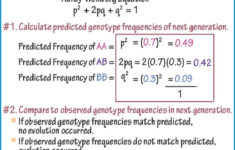 Anatomy And Physiology Genetics Of Blood Disorders Worksheet Answer Key
