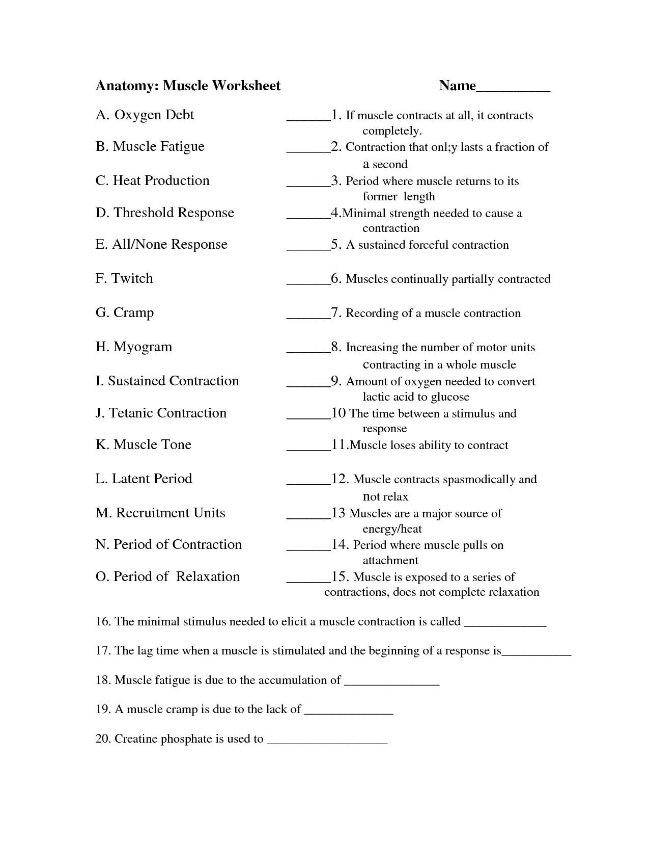 Anatomy And Physiology Muscle Worksheets Anatomy And Physiology 