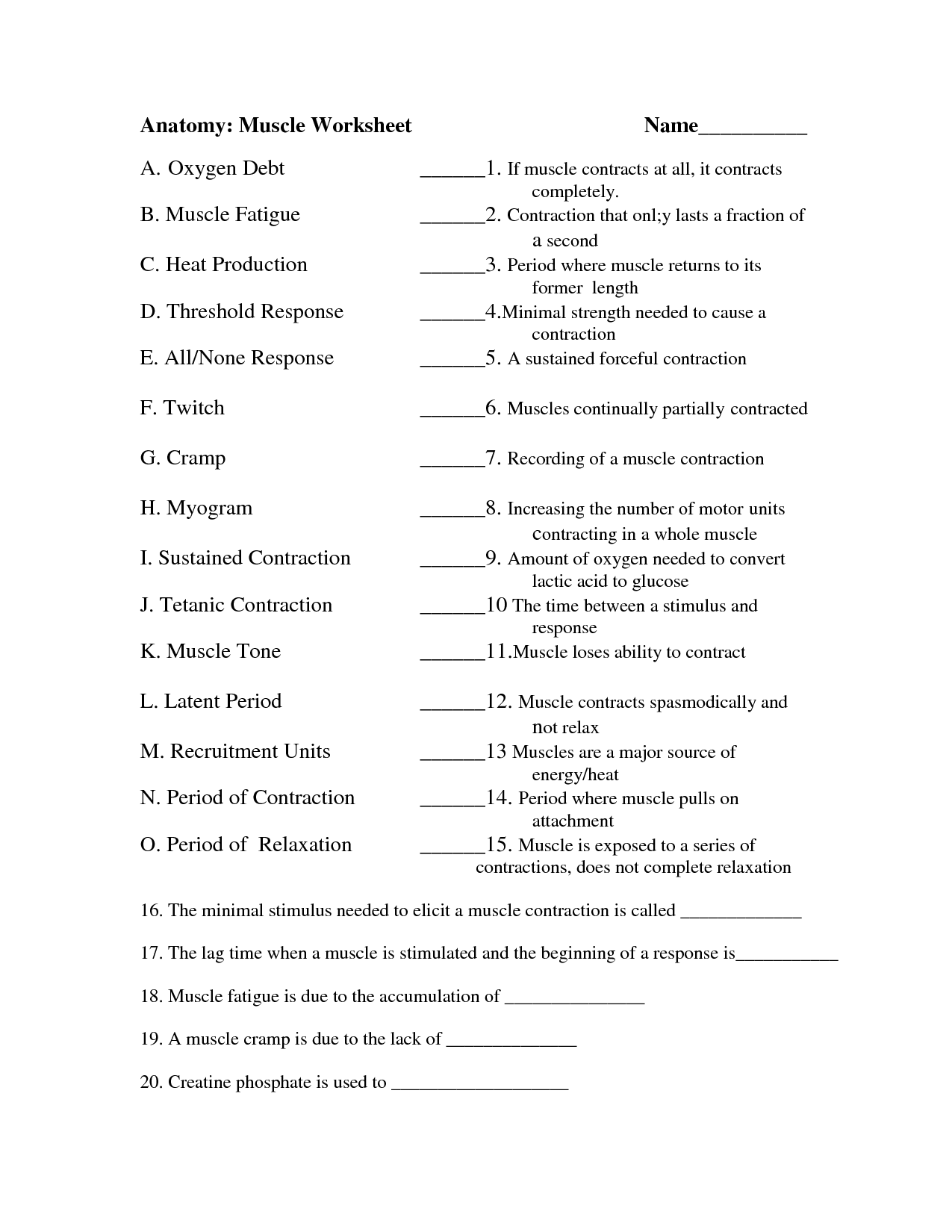 Anatomy and Physiology Muscle Worksheets School Pinterest Anatomy 