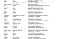 Anatomy And Physiology Prefix