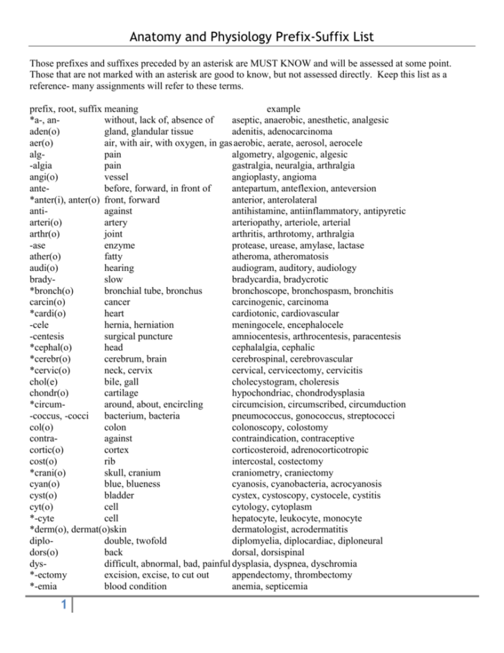 Anatomy And Physiology Prefixes And Suffixes Worksheet
