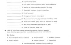 Anatomy And Physiology Printable Study Guide Free Worksheets Samples