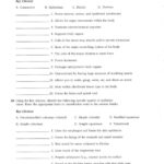 Anatomy And Physiology Printable Study Guide Free Worksheets Samples