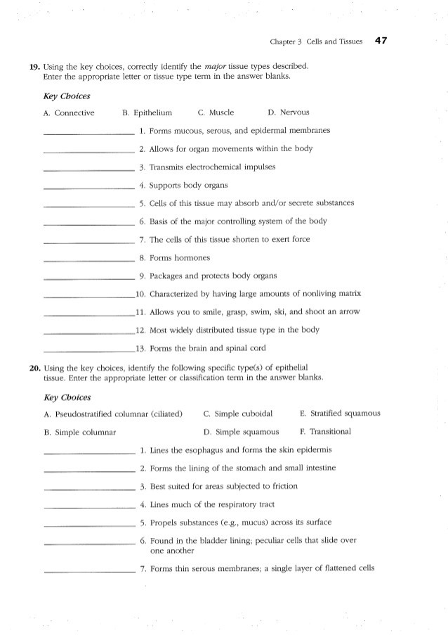 Anatomy And Physiology Study Guide Printable Anatomy Worksheets