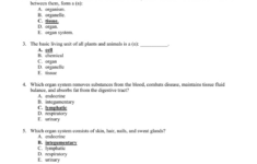 Anatomy And Physiology Unit 1 Review Sheet Chapter 1 Name Db excel