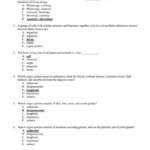 Anatomy And Physiology Unit 1 Review Sheet Chapter 1 Name Db Excel