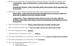 Anatomy And Physiology Unit 3 Exam Study Guide Answers Study Poster