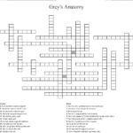 Anatomy Crossword Puzzles Printable Printable Crossword Puzzles