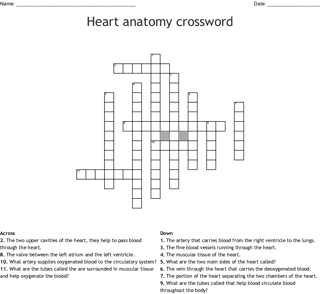 Anatomy Crossword Puzzles With Answers Printable Anatomy Worksheets