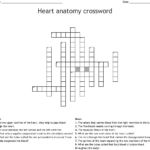 Anatomy Crossword Puzzles Printable Printable Crossword Puzzles