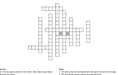 Anatomy Crossword Puzzles Printable Printable Crossword Puzzles