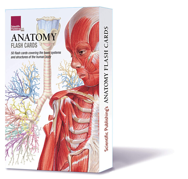 Human Anatomy Printable Flashcards