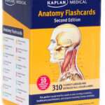 Anatomy Flashcards Book Summary Video Official Publisher Page