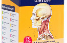 Anatomy Flashcards Book Summary Video Official Publisher Page