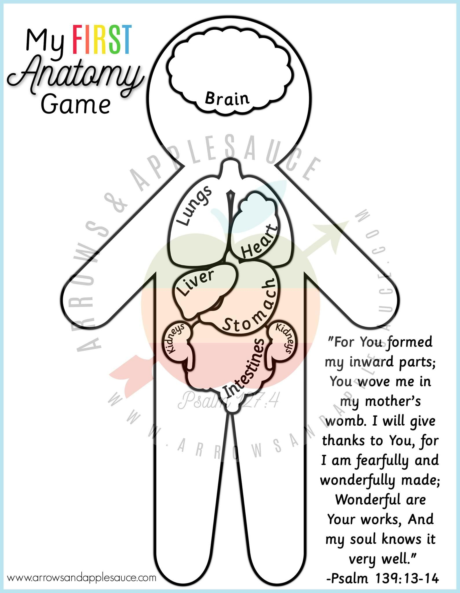 Anatomy Game Printable Human Body Preschool Activity About Etsy 