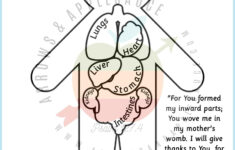 Anatomy Game Printable Human Body Preschool Activity About Etsy
