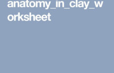 Anatomy in clay worksheet