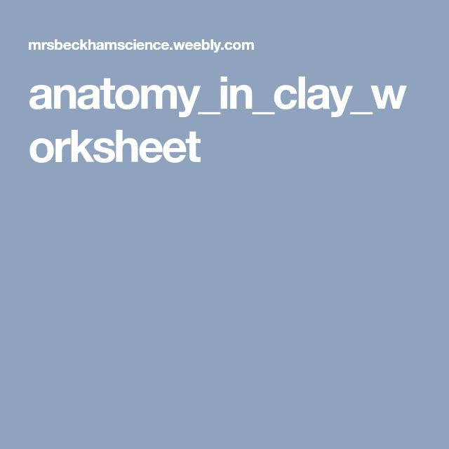 Anatomy In Clay Worksheets