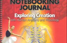 Anatomy Junior Notebooking Journal Apologia 9781935495475
