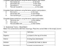 Anatomy Labeling Worksheets Bing Images Esthetics Human Body