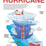 Anatomy Of A Hurricane GalvestonSales