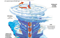 Anatomy Of A Hurricane GalvestonSales