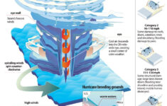 Anatomy Of A Hurricane The Daily News Weather Science