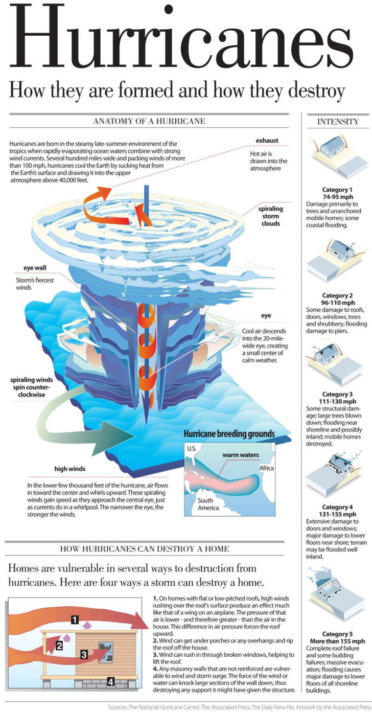 Anatomy Of A Hurricane The Daily News Weather Science | Anatomy Worksheets