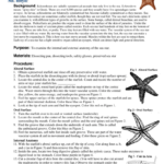 Anatomy Of A Starfish Worksheet Answers