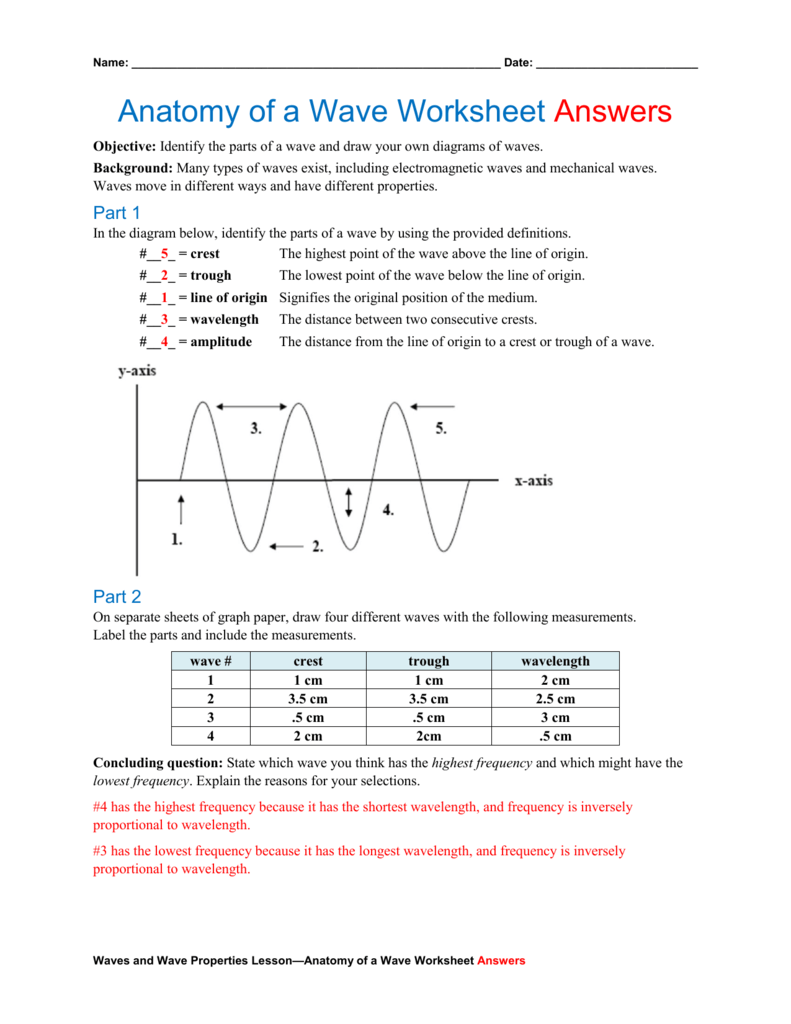 Anatomy Of A Wave Worksheet Answers