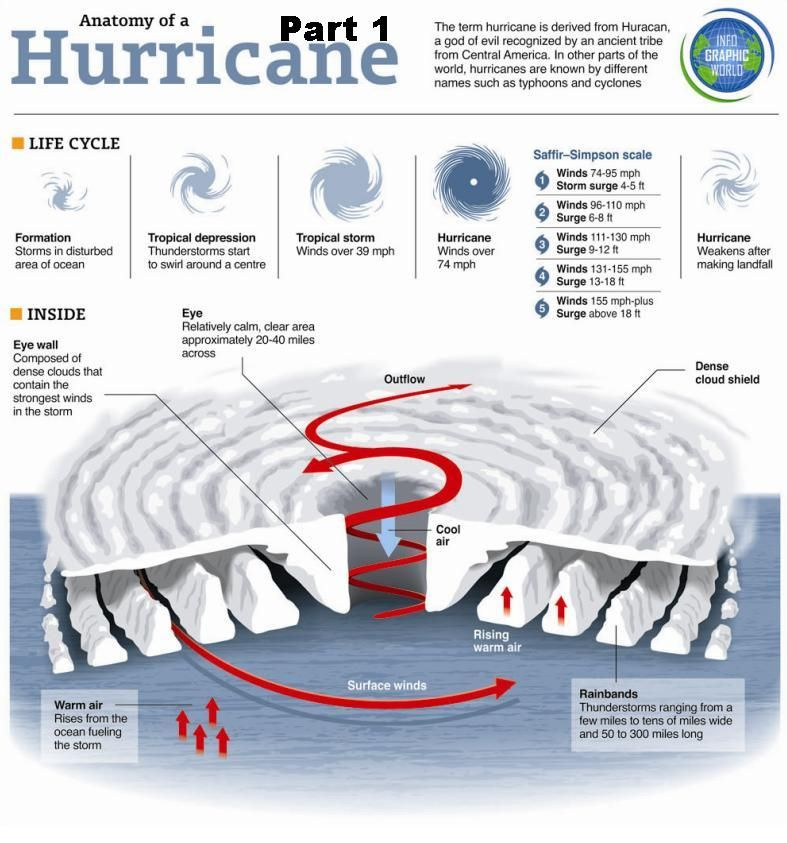 Anatomy Of Hurricane 1 Hurricanes Activities Florida Hurricane 