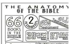 Anatomy Of The Bible Coloring Page Bible Lessons For Kids