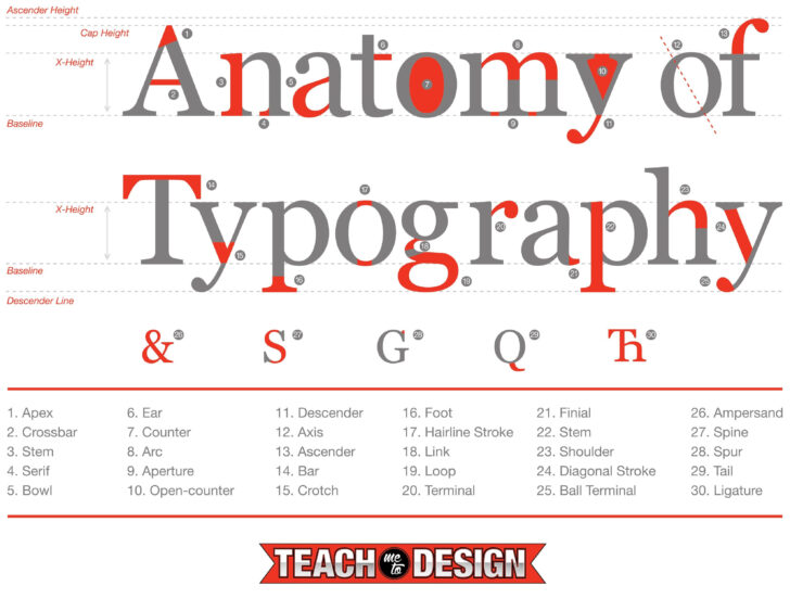 Anatomy Of Typography Worksheet