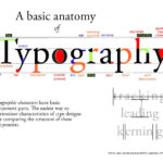 Anatomy Of Typography Google Search Anatomy Of Typography
