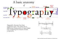 Anatomy Of Typography Google Search Anatomy Of Typography