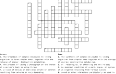 Anatomy Physiology Crossword WordMint
