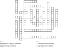Anatomy Physiology Crossword WordMint