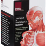 Anatomy Physiology Flash Cards Cards Amazon