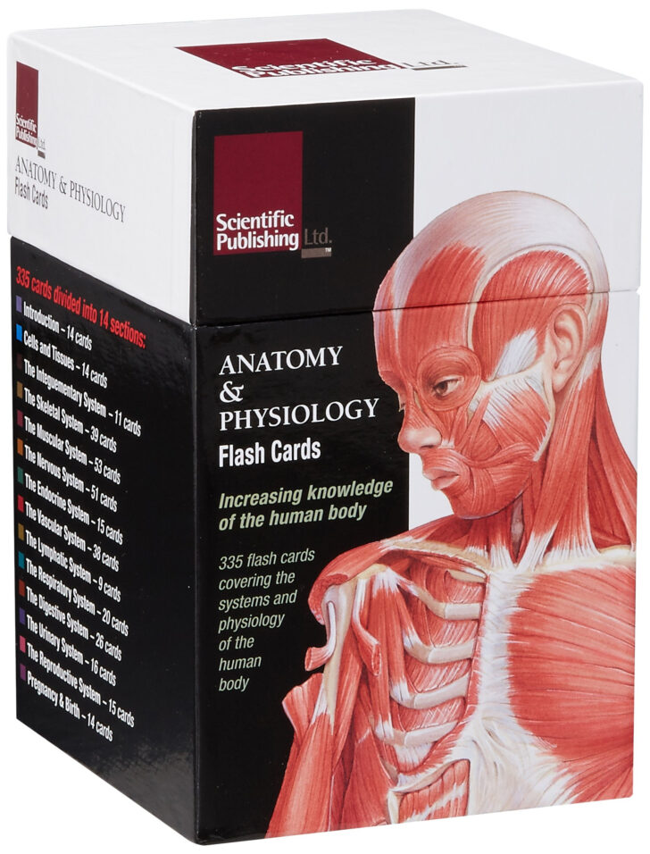 Anatomy And Physiology Flash Cards Amazon Printable