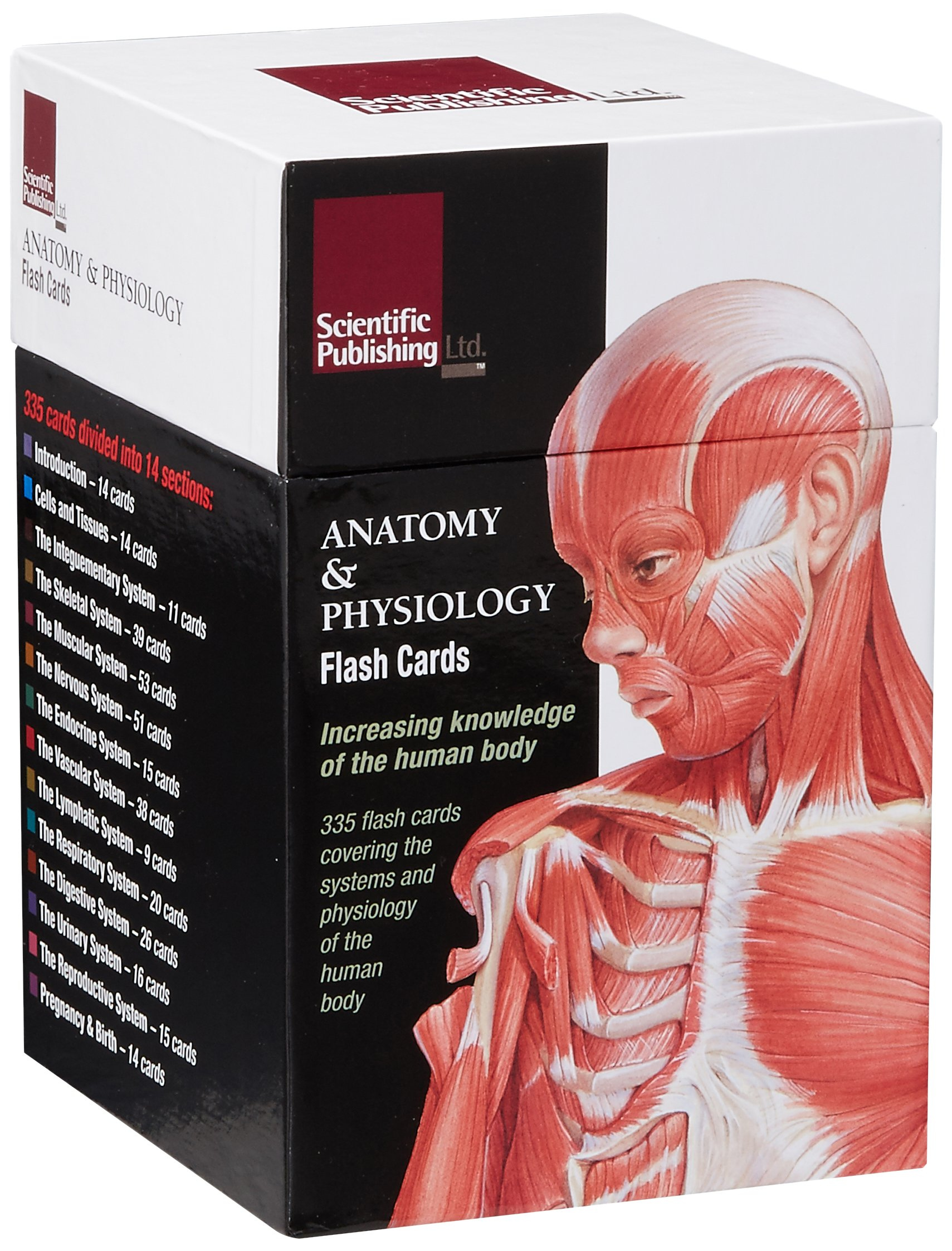 Anatomy Physiology Flash Cards Cards Amazon
